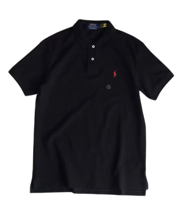 RL V2 - POLO