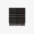BB - SCARF